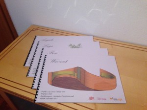 Leistungsbeschreibung-weitere optionen